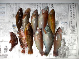 初釣行の釣果